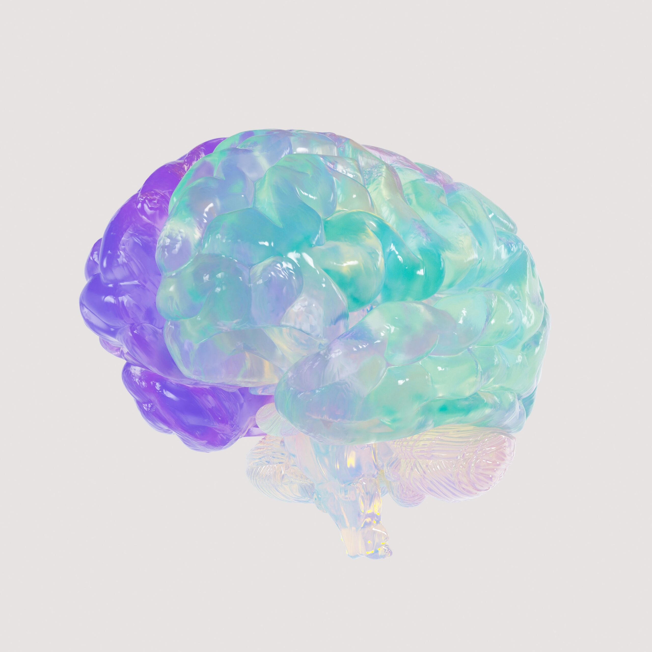A semitranslucent brain
